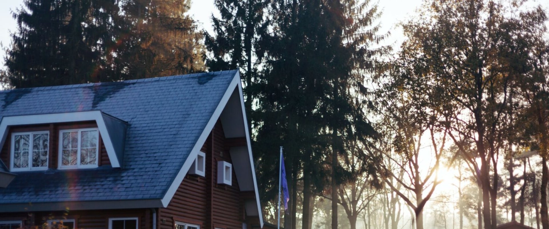 What to Do When an Executor of an Estate Steals?