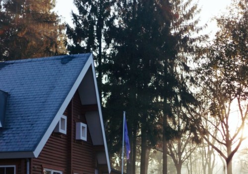 What to Do When an Executor of an Estate Steals?